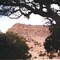 Looking Up at Table Mountain