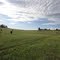 View in Pasture (2)