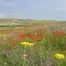 Kyrgyzstan, Spring 2010, route Osh - Bishkek / Кыргызстан, Весна 2010, Трасса Ош - Бишкек, в районе села Бурганды