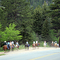 Wranglers bring the string in after a ride through the park