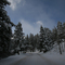 On the road up to Bear Lake