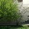 Весенние наряды. Аttired in spring colors.