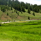 headed south on Teller 1 toward Cripple Creek