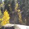 Phantom Canyon