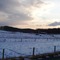Virginia Tech - McCormick Farm