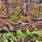 Mill Creek Fall 2011