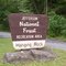 Jefferson nAtional forest