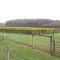 Vineyard in Fincastle
