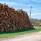 Fire Wood