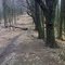 At a saddle in Garden Mountain a 'flesh' blazed trail forks off eastward, AT ascends knob of Garden Mountain straight ahead