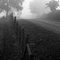 Foggy Morning on Blacksburg Road, Catawba, Va.