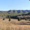 Caldwell Fields and Brush Mountain (Craig Creek Valley, Virginia)