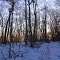 Appalachian Trail Atop Sinking Creek Mt (Craig County, VA)
