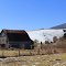 Old Barn, Sinking Creek Valley, Virginia