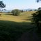chestnut ridge