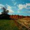 Autumn Farm House