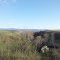 pretty scenery near glade spring