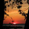 Sunset and Cedar