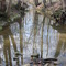 Deep Run Creek