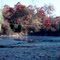 Capon Pond