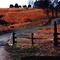 Field along Route 29