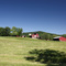 Farm on Old Lynchburg Road (just south of Walnut Creek Park)