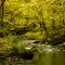 Walnut Creek Park