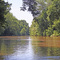 Rivana River near Milton Road