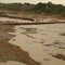 River Chambal