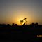 SUNSET NEAR    SIDHI   M.P INDIA