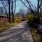 The Slippery Elm Trail