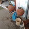 Drinking water in Rewa