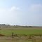 DSC07000level ground  13.36.54
