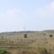 DSC07001 आमलाஆம்லாఆమ్లాKnoll near Amla  13.39.56