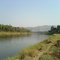 Koyana River Near Karad