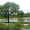 Beautiful Nature View At Road Side In Jamui.