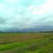 Beautiful Nature View At Burhar Road