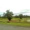 Season View Of Field At Roadside