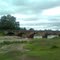 Bridge View Of Sarfa River