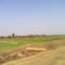Field View At Dec 2010