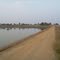 Pond Side Way At Pungri Village