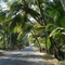 On the way to Vanakbara