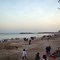 DIU BEACH MORNING
