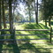 Near the Crater, Petersburg National Battlefield