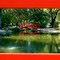 Pond at Richard Bland College