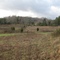 View of old abandoned home across field