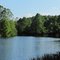 Private Pond View 2 - On Private Property