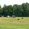Loading hay bales