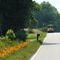 School bus stopping in Virginia piedmont farm country