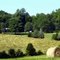 An unmowed field like tousled hair